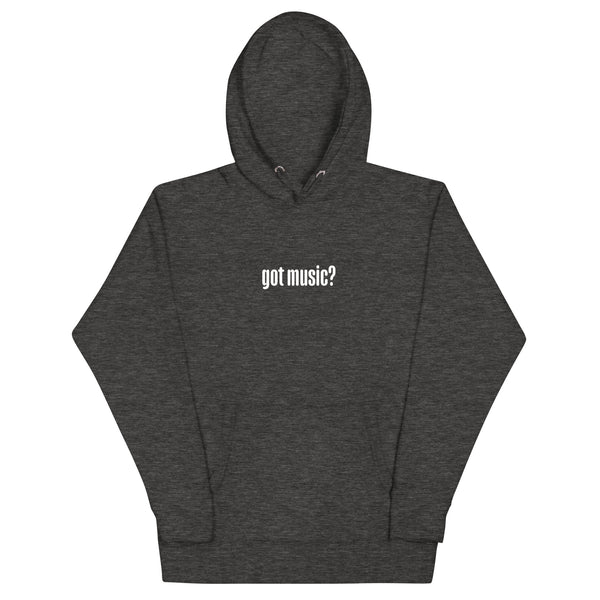 Got Music? Hoodie